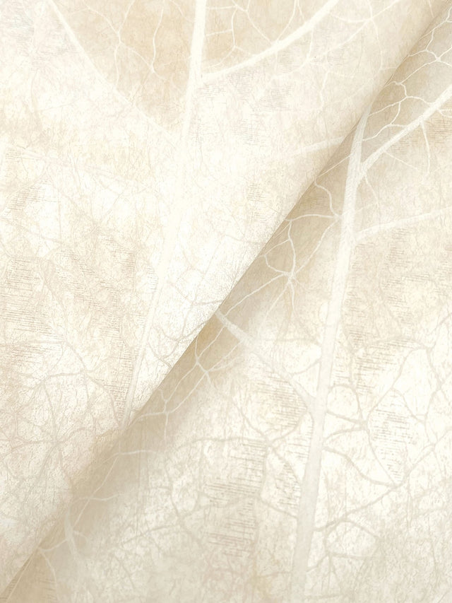 Dicot Pearl Leaf Wallpaper with Eclectic Botanical Leaf Motif - York NT6145