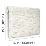 Dreamland Cameo Wallpaper with Abstract Wavy Motif - York NT6173
