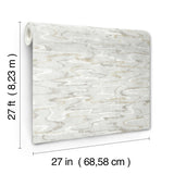 Dreamland Grey Wallpaper with Abstract Swirl Pattern - York NT6174