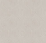 Fine Line Taupe Geometric Wallpaper with Raised Ink Transitional Pattern - York NT6195