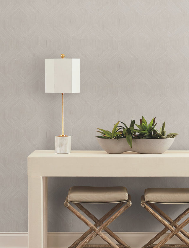 Fine Line Taupe Geometric Wallpaper with Raised Ink Transitional Pattern - York NT6195
