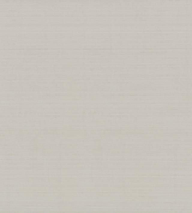 Quiet Vista Oxygen Faux Grasscloth Traditional Wallpaper - York NT6204N