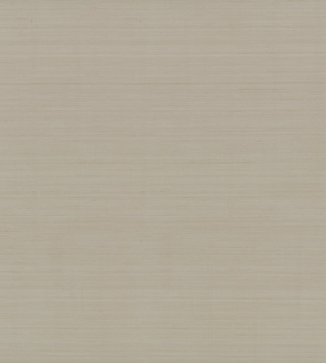 Quiet Vista Zinc Faux Grasscloth Traditional Wallpaper - York NT6207N