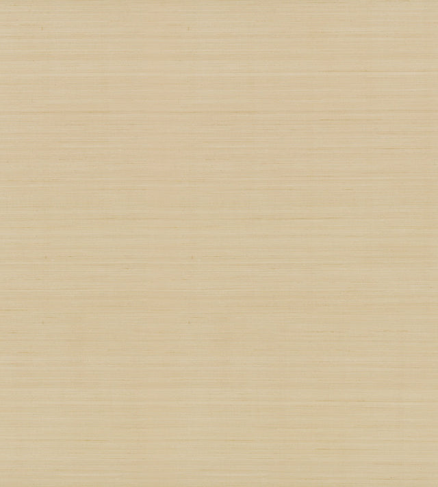 Quiet Vista Desert Faux Grasscloth Traditional Wallpaper - Candice Olson NT6209N
