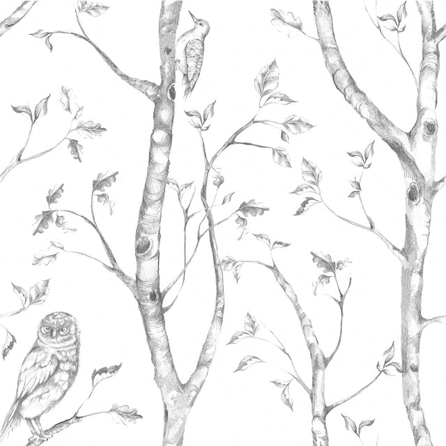 Woods Grey Peel & Stick Wallpaper with Owl and Forest Motif - NuWallpaper NUS1412