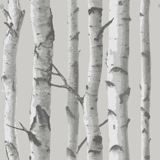 Mountain Birch Grey Peel & Stick Wallpaper with Lodge Faux Effects Birch Tree Motif - NuWallpaper NU1694