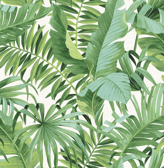 Maui Green Peel & Stick Wallpaper with Tropical Palm and Banana Leaf Motif - NuWallpaper NU2906