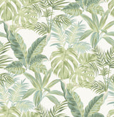 Madagascar Green Peel & Stick Wallpaper with Tropical Botanical Leaves Pattern - NuWallpaper NU3382