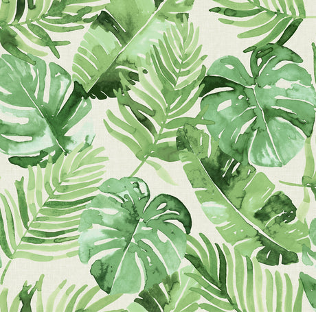 Tortola Green and Off-White Tropical Botanical Peel and Stick Wallpaper by NuWallpaper NU3670