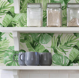 Tortola Green and Off-White Watercolor Tropical Botanical Monstera and Palm Leaf Peel and Stick Wallpaper by NuWallpaper - NU3670