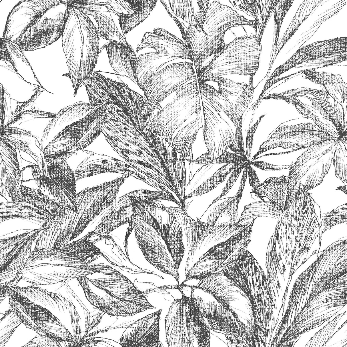 Canopy Black Peel & Stick Wallpaper