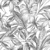 Canopy Black Peel & Stick Wallpaper