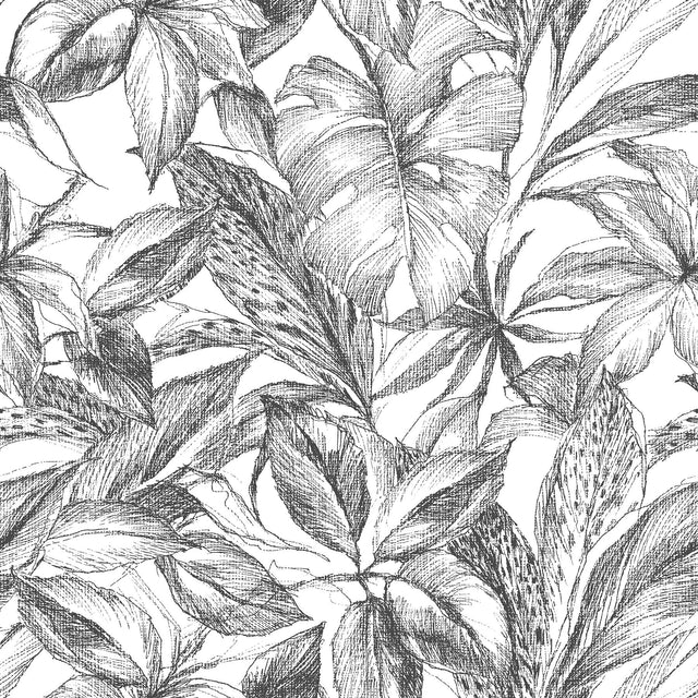 Canopy Black Peel & Stick Wallpaper