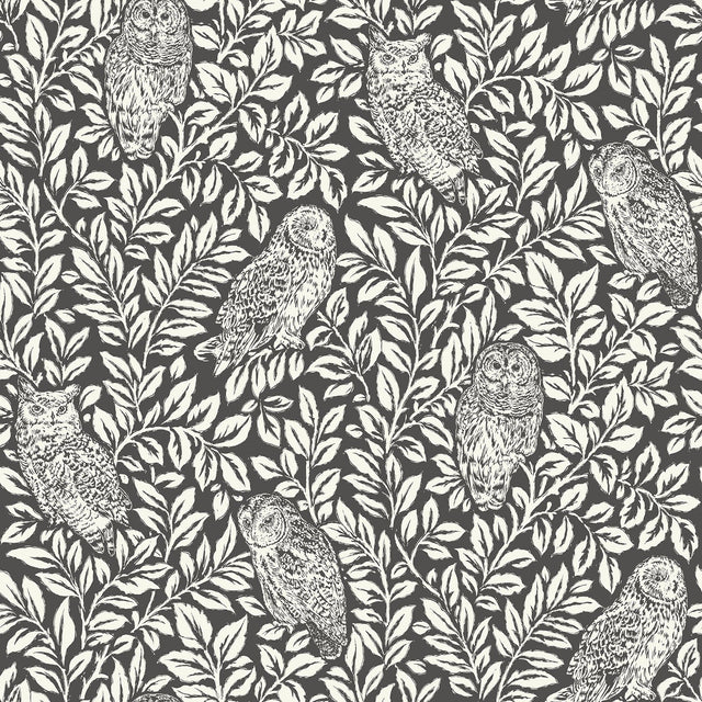 Sleepy Owls Charcoal Peel & Stick Wallpaper with Woodland Owl Motif - NuWallpaper NUS3625