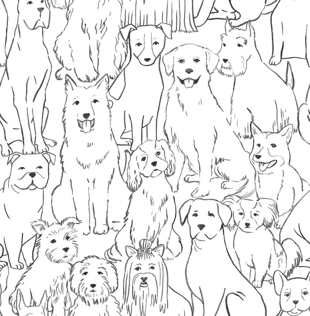 Paws On Black & White Peel & Stick Wallpaper with Novelty Dog Pattern - NuWallpaper NUS3675