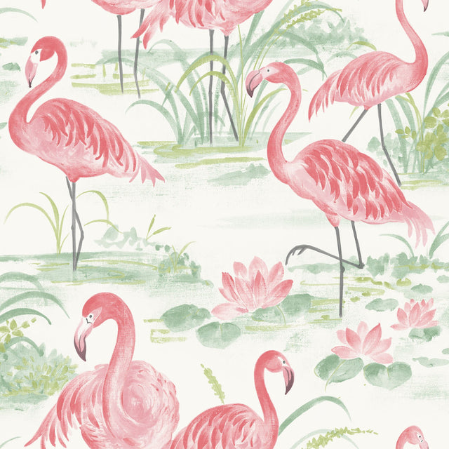 Flamingo Beach Pink Peel & Stick Wallpaper with Tropical Flamingo Motif - Brewster NUS3679