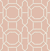 Sanya Salmon Peel & Stick Wallpaper with Geometric Bamboo Trellis - Brewster NUS4311