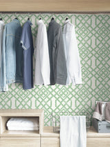 Tanner Green Peel & Stick Wallpaper with Geometric Trellis Pattern - NuWallpaper NUS4382