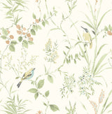 Songbird Sage Peel & Stick Wallpaper with Botanical Chinoiserie Bird Motif - NuWallpaper NUS4470