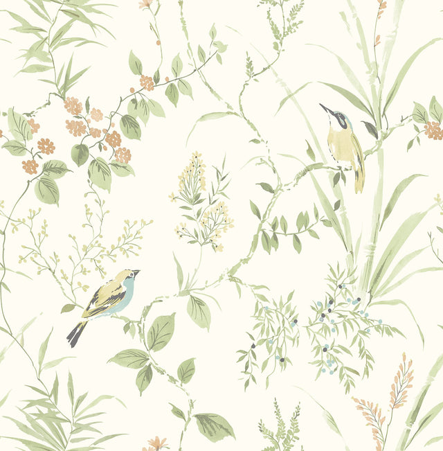Songbird Sage Peel & Stick Wallpaper with Botanical Chinoiserie Bird Motif - NuWallpaper NUS4470