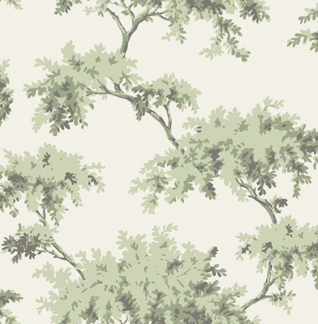 Alder Sage Peel & Stick Wallpaper with Traditional Tree Motif - NuWallpaper NUS4473