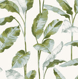 Banana Leaf Green Peel & Stick Wallpaper with Botanical Leaves Pattern, Transitional Style - NuWallpaper NUS4903