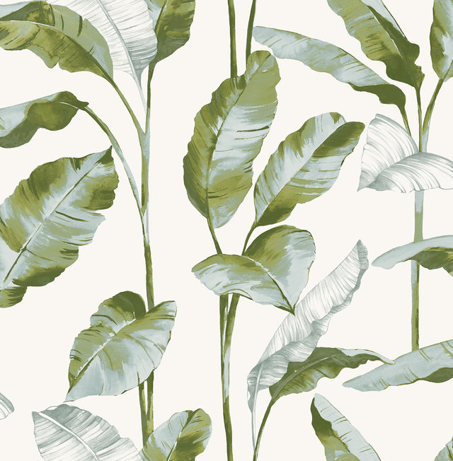Banana Leaf Green Peel & Stick Wallpaper with Botanical Leaves Pattern, Transitional Style - NuWallpaper NUS4903