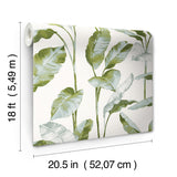 Banana Leaf Green Peel & Stick Wallpaper with Botanical Leaves Pattern, Transitional Style - NuWallpaper NUS4903