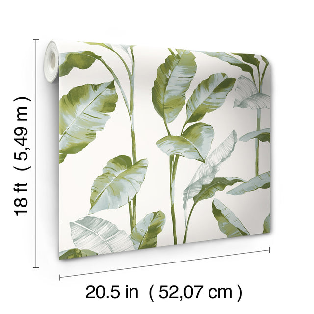 Banana Leaf Green Peel & Stick Wallpaper with Botanical Leaves Pattern, Transitional Style - NuWallpaper NUS4903