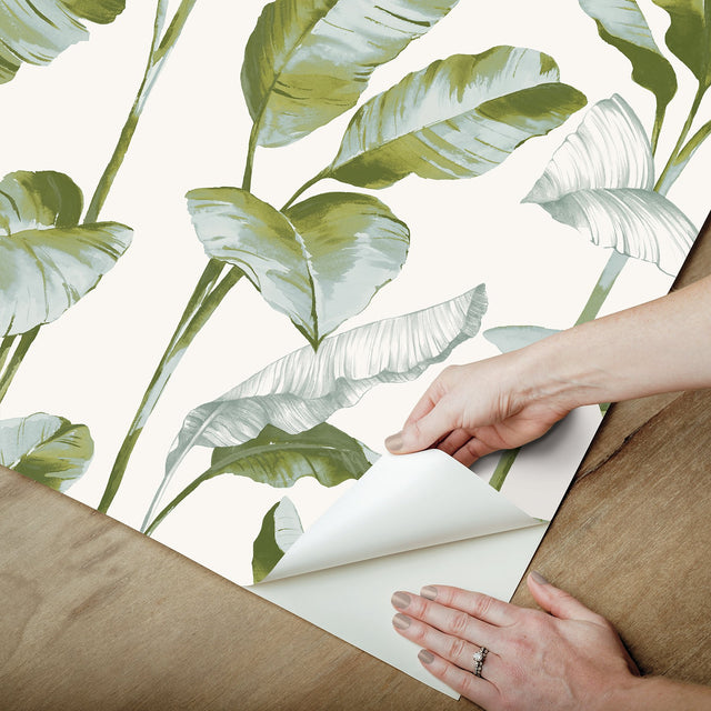 Banana Leaf Green Peel & Stick Wallpaper with Botanical Leaves Pattern, Transitional Style - NuWallpaper NUS4903