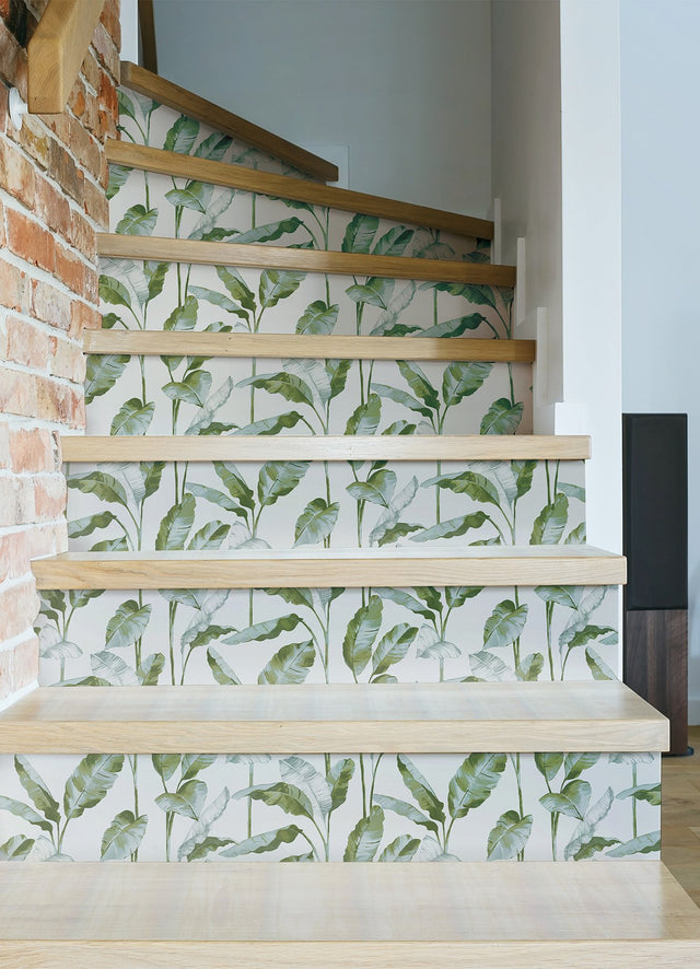 Banana Leaf Green Peel & Stick Wallpaper with Botanical Leaves Pattern, Transitional Style - NuWallpaper NUS4903