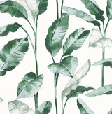 Banana Leaf Teal Peel & Stick Wallpaper with Botanical Leaves Motif - NuWallpaper NUS4904