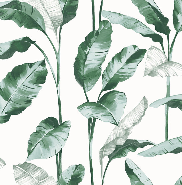 Banana Leaf Teal Peel & Stick Wallpaper with Botanical Leaves Motif - NuWallpaper NUS4904