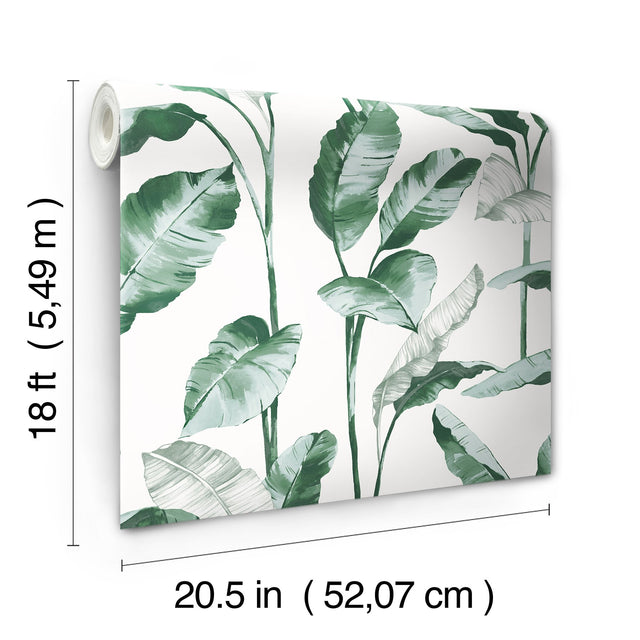 Banana Leaf Teal Peel & Stick Wallpaper with Botanical Leaves Motif - NuWallpaper NUS4904
