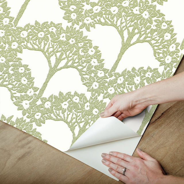 Finley Green Peel & Stick Wallpaper with Raised Ink Botanical Tree Pattern, Transitional Style - NuWallpaper NUS4987