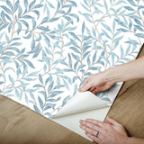 Terrace Vines Cloud Blue Peel & Stick Wallpaper with Botanical Farmhouse Style - NUS6100