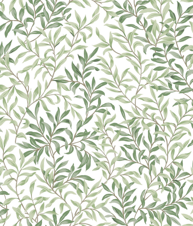 Terrace Vines Herb Green Peel & Stick Wallpaper with Botanical Vine Motif - NuWallpaper NUS6101