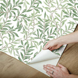 Terrace Vines Herb Green Peel & Stick Wallpaper with Botanical Vine Motif - NuWallpaper NUS6101