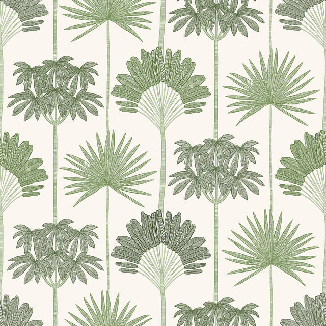 Kentia Green Peel & Stick Wallpaper with Botanical Palm Trees - NuWallpaper NUS6188