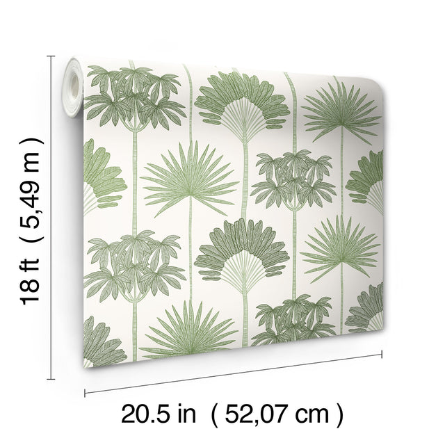 Kentia Green Peel & Stick Wallpaper with Botanical Palm Trees - NuWallpaper NUS6188