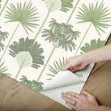 Kentia Green Peel & Stick Wallpaper with Botanical Palm Trees - NuWallpaper NUS6188