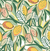Main Squeeze Peach Peel & Stick Wallpaper with Modern Botanical Fruit Motif - NuWallpaper NUS6216