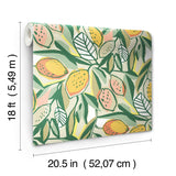 Main Squeeze Peach Peel & Stick Wallpaper with Modern Botanical Fruit Motif - NuWallpaper NUS6216