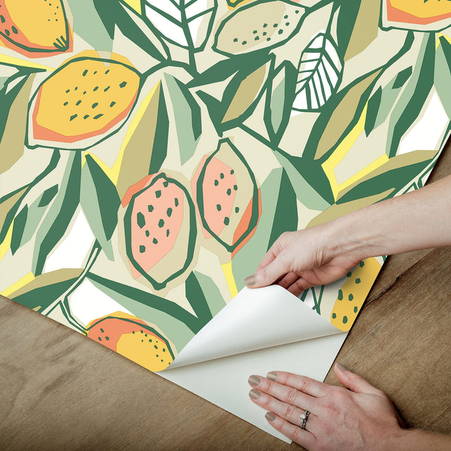 Main Squeeze Peach Peel & Stick Wallpaper with Modern Botanical Fruit Motif - NuWallpaper NUS6216