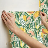 Main Squeeze Peach Peel & Stick Wallpaper with Modern Botanical Fruit Motif - NuWallpaper NUS6216