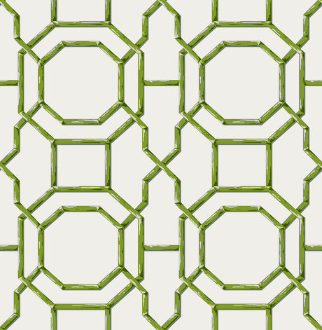 Sanya Green Peel and Stick Wallpaper by NuWallpaper - NUS6505