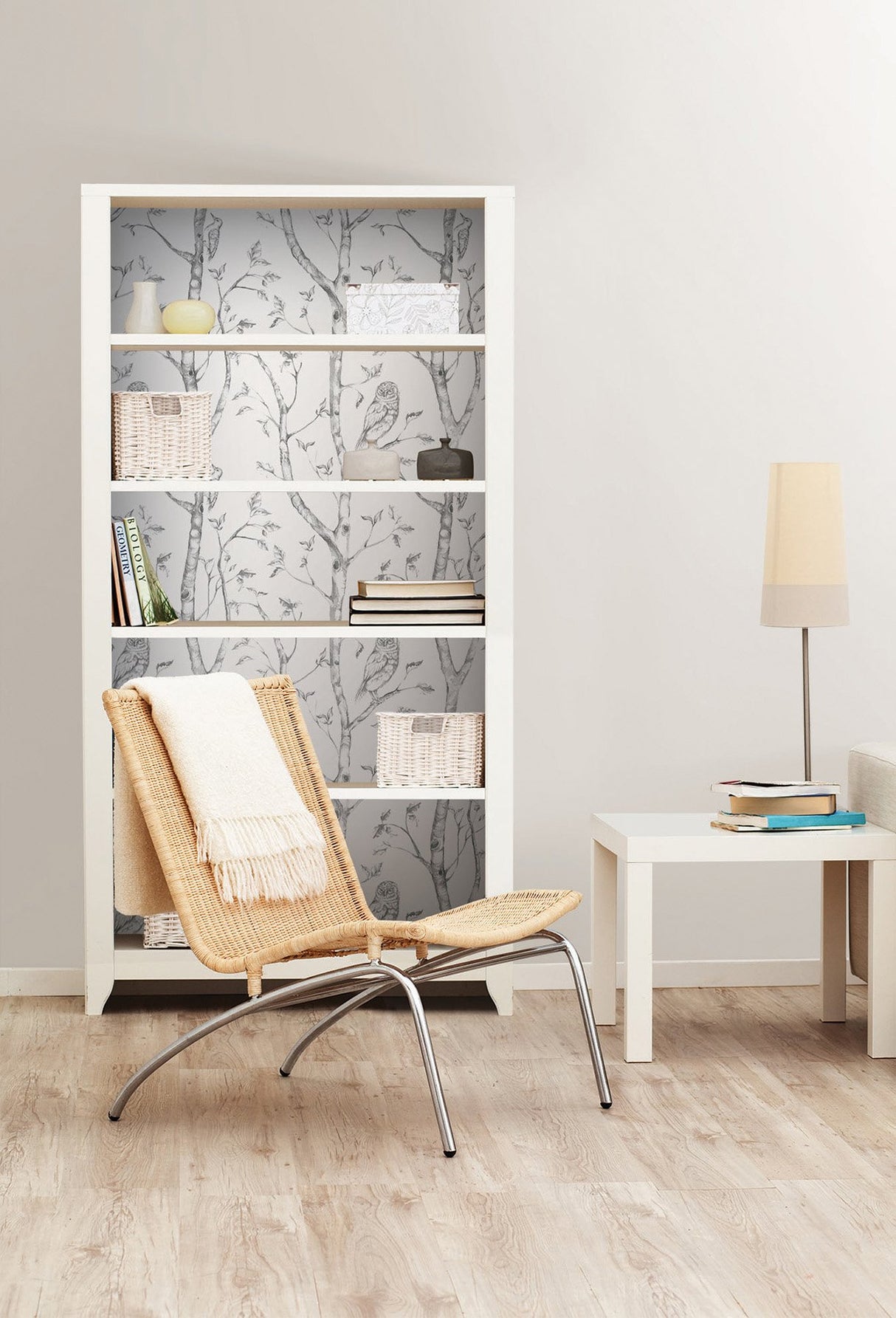 Grey Woods Peel & Stick Wallpaper with Nature Birch Trees and Owls - Brewster NUW1412