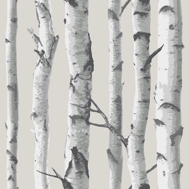 Grey Birch Tree Peel & Stick Wallpaper with Nature Birch Tree Pattern - NuWallpaper NUW1650