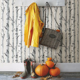 Grey Birch Tree Peel & Stick Wallpaper with Nature Birch Tree Pattern - NuWallpaper NUW1650
