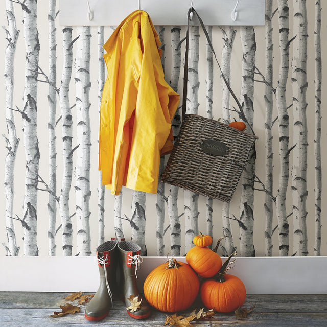 Grey Birch Tree Peel & Stick Wallpaper with Nature Birch Tree Pattern - NuWallpaper NUW1650